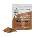 Sieniuutejauhe - Tehokas 10 Blend, Organic Lions Mane, Cordyceps, Reishi, Shiitake, Turkey Tail Sienet Nootropic Brain Supplement for Energy, Rauhoitu, Focus & Immune System Booster