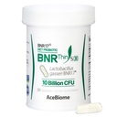 BNRThin S30, Lactobacillus Gasseri BNR17, 10 miljardia PMY Taattu, 30Kapsuleet