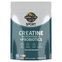 Creatiini Monohydraatti Powder for Women and Men by Garden of Life, Micronized Pre Treout kanssa Probiootit lihas, vahvuus, suorituskyky, urheilu Amino energia, Noin 60 Helppo sekoittaa makuttomia tarjoiluja