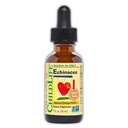 LAPSILIFE OLENNAISET Echinacea lapsille - Lapset Echinacea Drops, Liquid Tincture, Alkoholiton täydentää vauvoille, Toddlers, Children - Natural Orange, 1 Fl Oz (paketti 1