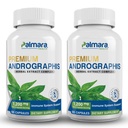 Palmara Health Premium Andrographis Paniculata Extract 2 Pack - 1200 mg (100 mg Andrographolides) per Serving, Ei-GMO, Vegan, Gluteeniton