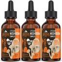 Liposomal Mushroom Complex Drops 2000 MG - 20 Organic Mushroom uutteet - Advanced Liquid Formula Immuniteetti, Kognitiivinen ja muisti - Lions Mane Supplement, Reishi, Cordyceps, Chaga, 90 tarjoilut