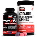 Force Factor Performance Bundle: Test X180 Max T-Booster (60 Mixed Berry Gummies) & Creatiini Monohydraatti 5g (150 vesimeloni Gummies)