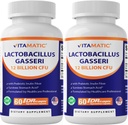 Vitamatic Lactobacillus Gasseri - 12 miljardia per DR-kapseli - 60 Count - Ruoansulatus - Valmistettu prebioottisella inuliinikuidusta - 2 pakkaus