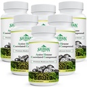 Aktiivinen Hexose Correlated Compound 1500 mg Supplement, Natural 8 Sieniuute Supplement, Immunojärjestelmä, Maksan toiminta, Natural Killer ja T Cells Activity, 540 Kasviskapselit