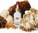 Rainbo - 11:11 Multi Sieni Pelti - 11-in-1 Alkoholiton - Dual Extract Mushroom Blend - Comprehensive Immuno Support, Brain Support, Lion Mane & Turkey Tail, Vegan, Non GMO, 3.4 fl oz