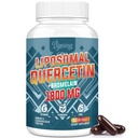 Liposomaalinen Quercetin Phytosome, Quercetin ja bromelaiini, sinkki ja C-vitamiini, bioaktiivinen Phytosom Complex, 20X Suurempi imeytyminen - 60 Softgelia