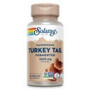 SOLARAY Fermented Turkey Tail Mushroom Supplement 1000mg - Kokonaiswellness tuki - Turkey Tail Mushroom Kapselit kanssa luomusieniä - Vegan, ei-GMO, Lab Varmennettu, 60 päivän takuu, 30 Palvelua