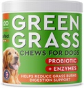 PAWFECTCHEW koiran pie Grass Helper - Grass hoito koiran virtsa - koiran virtsan neutralizer Grass Burn Spots - koiran pee nurmikko korjaus hoitoja probiootit - valmistettu USA - 120 Chews