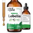Wild & Organic Lobelia Tincture - Lung Detox and Cleanse - Liquid Lobelia Herb Supplement - Vegaani, Sokeri & Alkoholiton Leaf Extract Drops - 4 fl oz
