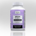 Brain Fuel+ DMAE Blend Memory Supplement for Focus, Mood, Mental Energy for Busy Men & Women - 60 kapselia, valmistettu Yhdysvalloissa