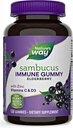 Natures+Way Sambucus Elderberry Gummies, C-vitamiini, D-vitamiini ja sinkki, Immuunituki lapsille ja aikuisille, 120 Gummies