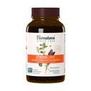 Himalaya StressCare Herbal Supplement, Tukee Stressi helpotusta, energiatukea, rentoutumista, satunnaisia Unettomuutta, Ashwagandha, Pyhä Basil/Tulsi, Gotu Kola, Ei-GMO, Kasvissyöjä, 240 kapselia