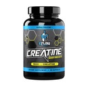 eFlow Creatiini Kapselit, HCL Creatiini pillerit - Creatiini täydentää miesten ja naisten, lihasten rakentaja, Endurance, vahvuus, AstraGin ja Senactiv (1500 mg, 90 kapselia)
