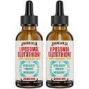Liposomal Glutatione Liquid 2000MG ... Antioksidantti Detox Supplement for Women & Men, Ikääntyminen puolustus, maksan toiminta & energia, hyaluronihappo + Aloe Vera + C-vitamiini, Natural & Vegan, 4 FL.OZ