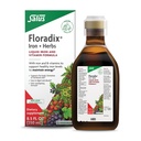 Floradix Iron & Yrtit - Nestemäinen kasviperäisten täydentää energiatukea - rauta täydentää C-vitamiinia ja B-vitamiini Complex - miehille ja naisille - 8.5 fl oz