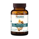 Himalaya Boswellia, yhteinen liikkuvuus- ja joustotuki, edistää kudosten säilyttämistä, 250 mg, 60 kapselia