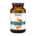 Himalaya Boswellia, yhteinen liikkuvuus- ja joustotuki, edistää kudosten säilyttämistä, 250 mg, 240 kapselia