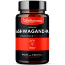 PhiNaturals Organic Ashwagandha juuriuute Vegaani kapselit Yhtä suuri kuin 6000 Mg juuri - Ashwaganda täydentää miesten ja naisten 1500 Mg per tarjoilu 30 Tarjoilua - 500 mg Per Vegan kapseli 90 kreivi