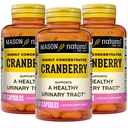 MASON NATURAL Cranberry Erittäin tiivistetty 900 mg, 3 kuukautta Supply, antioksidantti ja immuuni terveys, tukee terve virtsateiden, 3 pakkaus