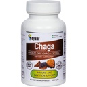 Sayan Siperian Chaga Mushroom Extract 
