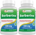 Best Naturals berberiini 500 mg 120 kapselia - Tukee immuunitoimintaa, sydän- ja ruoansulatuskanavan toiminta (120 laatikko 2)