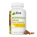 Jiva Botanicals Boswellia Extract Kapselit 700mg per Serving - Boswellia Serrata Extract Supplement & Black Pepper - Joint Support Supplement for Normal Joint Health - 120 kapselia (paketti 1)