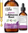 Wild & Organic Echinacea Tincture - Immuuneja tukevat tihkurat nestemäisellä Echinacea juuriuute - Angustifolia lisäravinteet - Vegaani, sokeri & alkoholiton - 2 fl oz