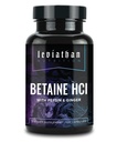 Leviathan Betaiini HCl pepsin & inkiväärillä - Ruoansulatuskanavan Entsyymien lisäravinteena digestioapu ja tuki, mahahappo ja ravinneabsorptio