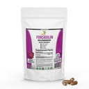 Pure Forskolin Extract täydennysosa Potent Coleus Forskohlii 20% Standardoitu 1000 mg tehostettu energia - Plant-Baseed Energy Supplements naisten ja miesten - 100 kasviskapselit