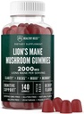 Lions Mane Mushroom Gummies aikuisille, 140 kreivi Bulk Lion's Mane Chewables, High Potency 10:1 Organic Extract määrät 2000mg, täydentää tukee mielen selvyyttä, Focus, Mieliala ja aivojen Fog