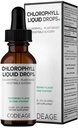 Koodaus Klorofyllin nestemäiset tippat Supplement - Vegaaniklorofylli 50 mg per tarjoilu, Organic Piparminttu Maku Clorofila Drink - Ei-GMO, Gluteeniton, Vegan - 2 fl oz