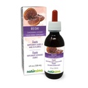 Naturalma Reishi (Ganoderma licidium) Sieni tai Sieni Alkoholiton Tincture - 4 fl oz Liquid Extract Drops - Herbal Supplement - Vegan