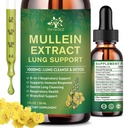 (2 pakkaus) 6 In 1 Mullein Drops for Keuhkot, Organic Mullein Leaf Extract Tincture for Keuhkot, Detox Cleanse & Respiratory for Breathing Health, Mullein Oil Supplement Immune Support, Vegan, 1 Fl Oz