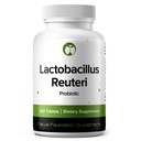 Lactobacillus Reuteri Probiotic Supplement 240 tablettia 3 miljardia PMY Probiootit miehille ja naisille tukee suoliston digestiivinen & Gut Health (240, Lactobacillus Reuteri)