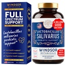 Lactobacillus Salivarius Probiootti - 24bn PMY L Salivarius Dental Probiootit hampaat ja Gums - Bad Breath Hoito aikuisille, Immuunituki, Ruoansulatus - 60 suun probiootti kapselit