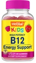 WellYeah B12-vitamiini Gummies for Kids - Boost Energy, parantaa aivojen toimintaa, ja vahvistaa immuunijärjestelmää - ei-GMO, Gluteeniton - Great Makeutus Berry Flavor - Helppo pureskella - 60 Gummies