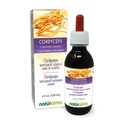 Naturalma Cordyceps (Cordyceps sinensis) Sieni tai Sieni Alkoholiton Tincture - 4 fl oz Liquid Extract tippa - Herbal Supplement - Vegan