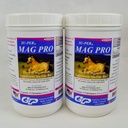 SU-PER Mag Pro Horse Calming Supplement - Tuki normaali käyttäytyminen & Calming Effect - Magnesium täydentää hevosille - 4 punta, (2 pakkaus)