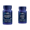 Life Extension Pycnogenol Ranskan Maritime Pine Bark & Gotu Kuola Valturi Health Supplements - 60 & 30 Kasvisruokaa Kapselit