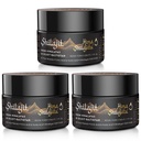 Shilajit Purest Himalayan Organic Shilajit Resin - Gold Grade 100% Puhtaus Shilajit Fulvic Acid & 85+ Trace Minerals Complex for Energy & Immuno Support, pakkaus 3 (6 kuukautta Supply)