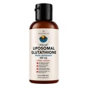AMANDEAN Liposomal Glutatione Supplement. Liquid Alennettu Setria 500 mg. Immuuneja tuki, aivot terveys, maksan detox, ihon terveys. Fosfatidyylikoliinia ei-GMO Auringonkukkalesitiinistä. Soy-free & Vegan.