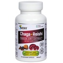 Sayan Siperian Chaga ja Luomu Reishi Mushroom Extract Supplement 