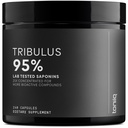 Tribulus Terrestris miehille - Ultra High Potency 25:1 Pura 95% saponiinit - 1300mg puhdas & tiivistetty Formula - kolmannen osapuolen laboratorio testattu puhtaus & laatu - 240 kapselia