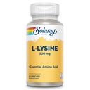 SOLARAY L Lysiini 500 mg kapselit - Free-Form Essential Amino Acids Supplement - Tehokas hyvinvointi tuki L-Lysine Aminohappo - Lab todennettu, 60 päivän takuu, 60 palvelinta, 60 VegCaps