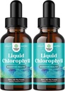 Mint Flavored klorofyllin nestepudotukset - Vegaanin nestemäinen klorofyllin drops varten Immuuni Tuki Gut Health Ihonhoito Detox maksan tuki energia ja huono hengitys - korkea teho sisäinen deodorizer - 2 pakkaus