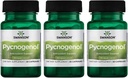 Swanson Pycnogenol 100 Milligrammaa 30 kapselia 3 pakkausta
