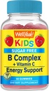 WellYeah Kids B-vitamiini Complex Sugar Free Gummies C-vitamiinia, Foolihappoa 