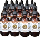 White Pine Liquid Extract, White Pine (Pinus Strobus) Bark Powder Tincture, Herbal Supplement, Havaiji Pharm, Made in USA, 15x4 fl.oz