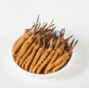 Wild Cordyceps, Whole Himalyan Cordyceps Sinensis Mushroom, aito ja hyvin harvinainen, korkea aste, Boost Energy, vähentää stressiä miehille ja naisille, 5 grammaa (13+17 pic) Lamjung Nepal Keeda Zadi